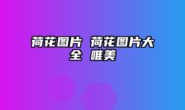 荷花图片 荷花图片大全 唯美