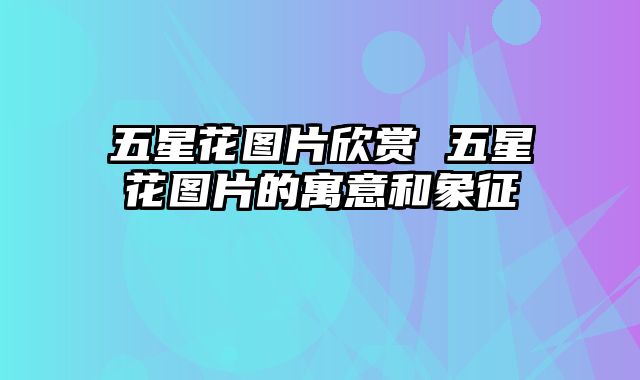 五星花图片欣赏 五星花图片的寓意和象征