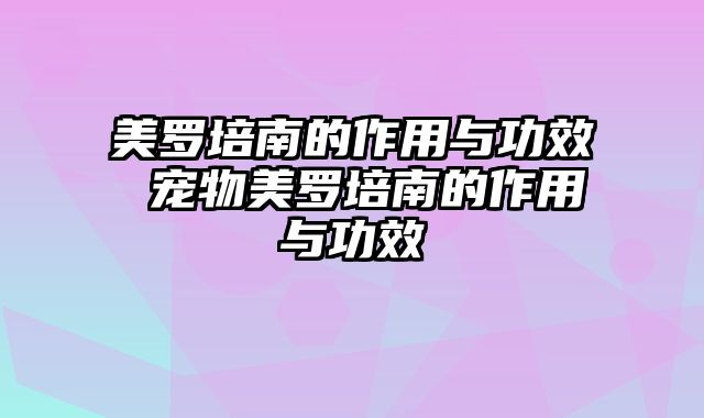 美罗培南的作用与功效 宠物美罗培南的作用与功效
