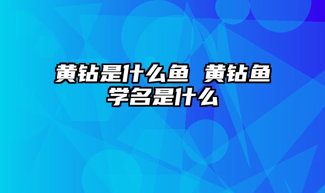 黄钻是什么鱼 黄钻鱼学名是什么