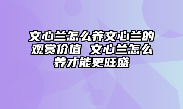 文心兰怎么养文心兰的观赏价值 文心兰怎么养才能更旺盛