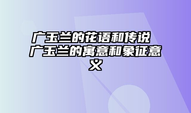 广玉兰的花语和传说 广玉兰的寓意和象征意义
