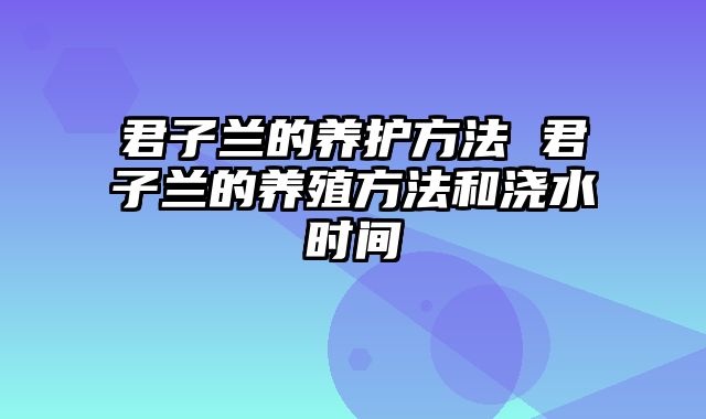 君子兰的养护方法 君子兰的养殖方法和浇水时间