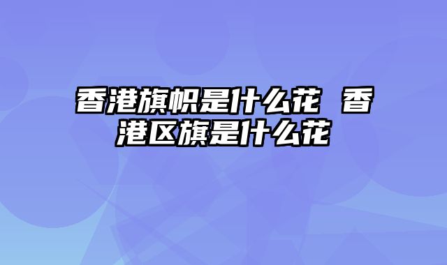 香港旗帜是什么花 香港区旗是什么花