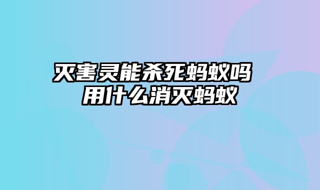 灭害灵能杀死蚂蚁吗 用什么消灭蚂蚁