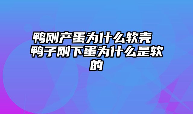 鸭刚产蛋为什么软壳 鸭子刚下蛋为什么是软的