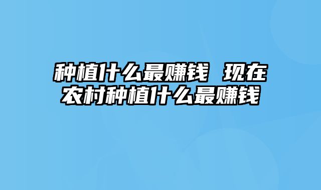 种植什么最赚钱 现在农村种植什么最赚钱