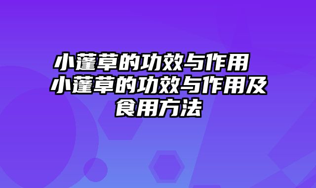 小蓬草的功效与作用 小蓬草的功效与作用及食用方法