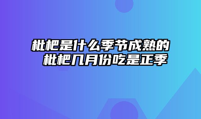枇杷是什么季节成熟的 枇杷几月份吃是正季