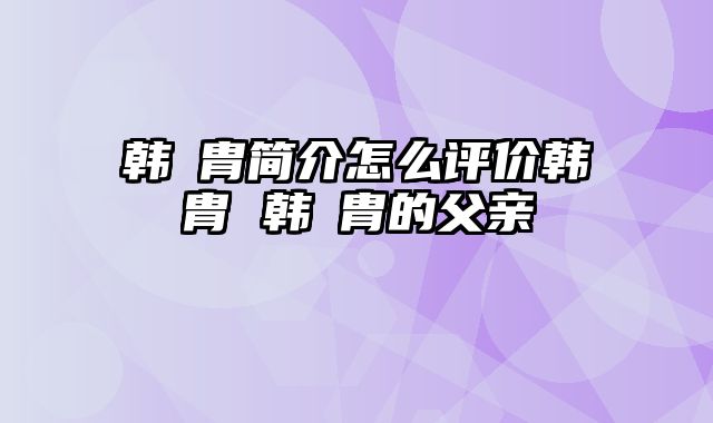 韩侂胄简介怎么评价韩侂胄 韩侂胄的父亲