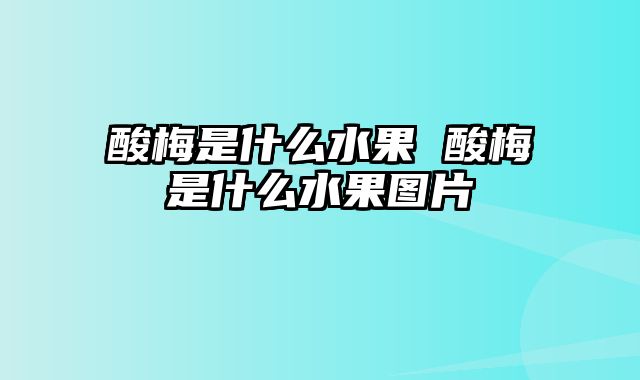 酸梅是什么水果 酸梅是什么水果图片