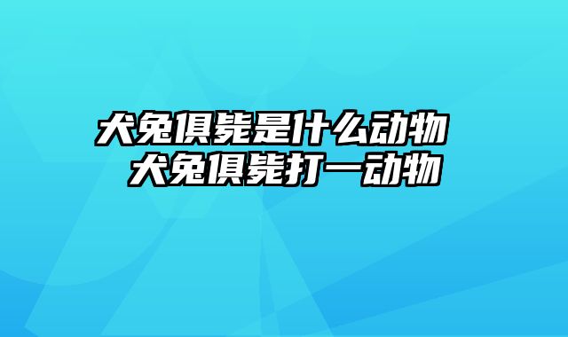 犬兔俱毙是什么动物 犬兔俱毙打一动物