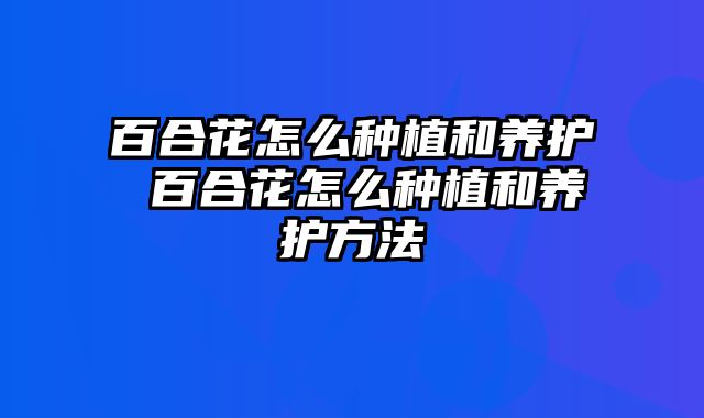 百合花怎么种植和养护 百合花怎么种植和养护方法
