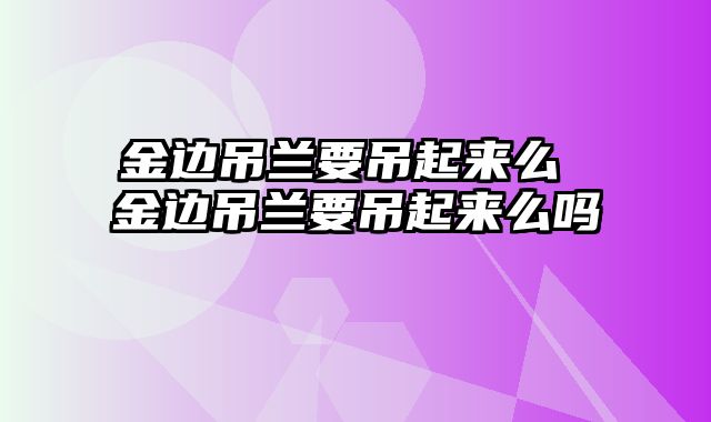 金边吊兰要吊起来么 金边吊兰要吊起来么吗