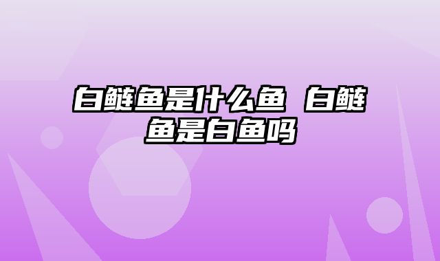 白鲢鱼是什么鱼 白鲢鱼是白鱼吗