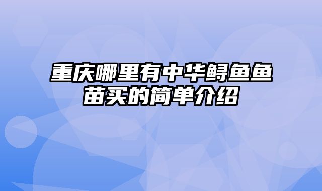 重庆哪里有中华鲟鱼鱼苗买的简单介绍
