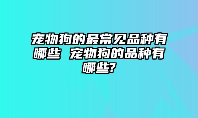 宠物狗的最常见品种有哪些 宠物狗的品种有哪些?