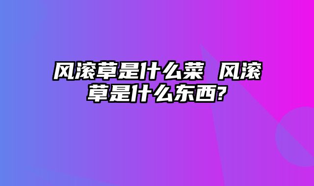 风滚草是什么菜 风滚草是什么东西?