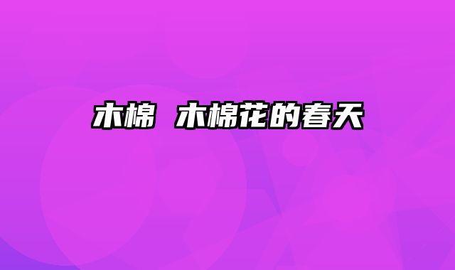 木棉 木棉花的春天