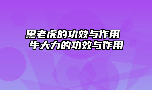 黑老虎的功效与作用 牛大力的功效与作用