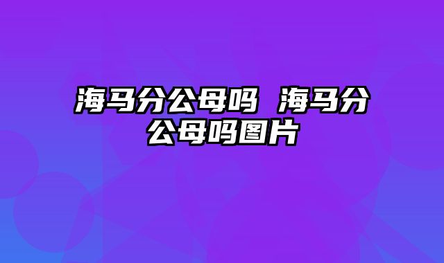 海马分公母吗 海马分公母吗图片