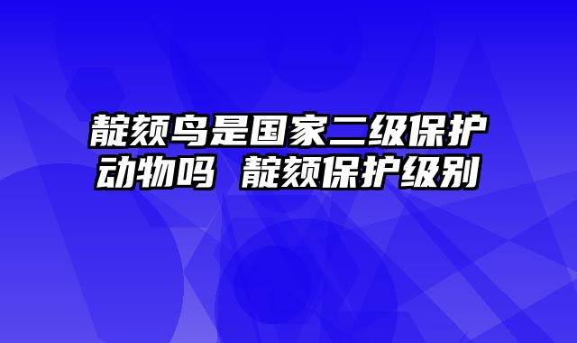 靛颏鸟是国家二级保护动物吗 靛颏保护级别