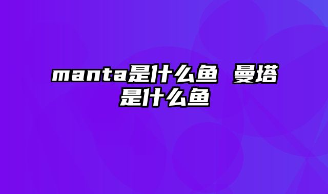 manta是什么鱼 曼塔是什么鱼