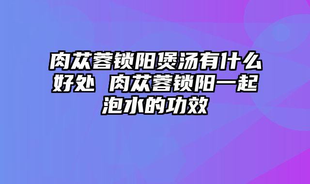 肉苁蓉锁阳煲汤有什么好处 肉苁蓉锁阳一起泡水的功效