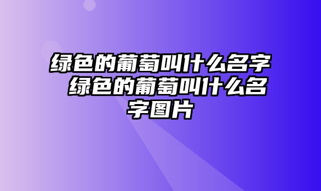 绿色的葡萄叫什么名字 绿色的葡萄叫什么名字图片