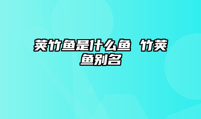 荚竹鱼是什么鱼 竹荚鱼别名