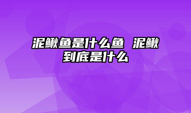 泥鳅鱼是什么鱼 泥鳅到底是什么