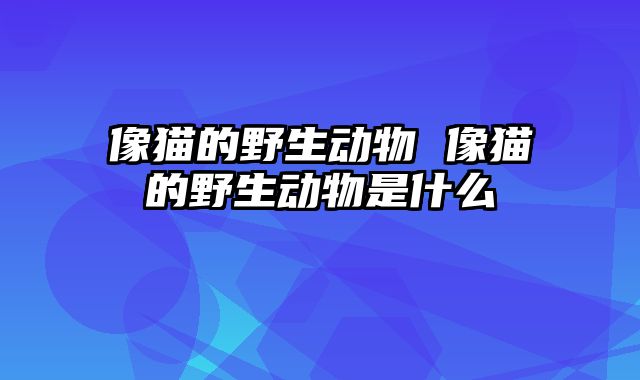 像猫的野生动物 像猫的野生动物是什么