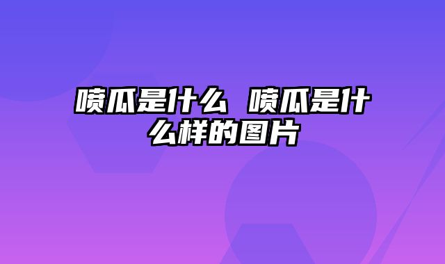 喷瓜是什么 喷瓜是什么样的图片