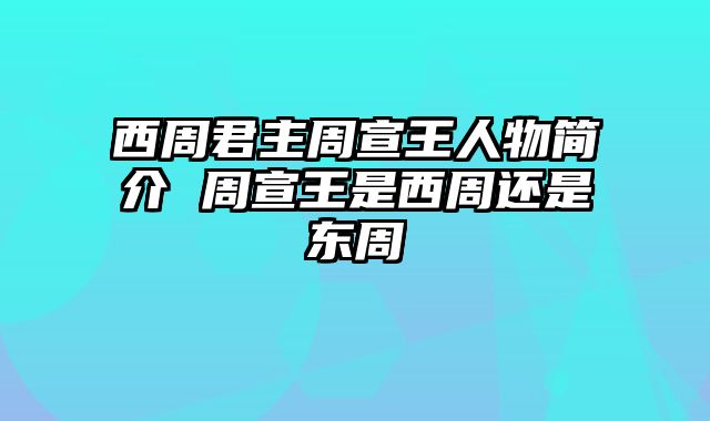 西周君主周宣王人物简介 周宣王是西周还是东周