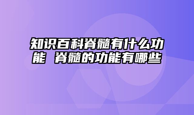 知识百科脊髓有什么功能 脊髓的功能有哪些