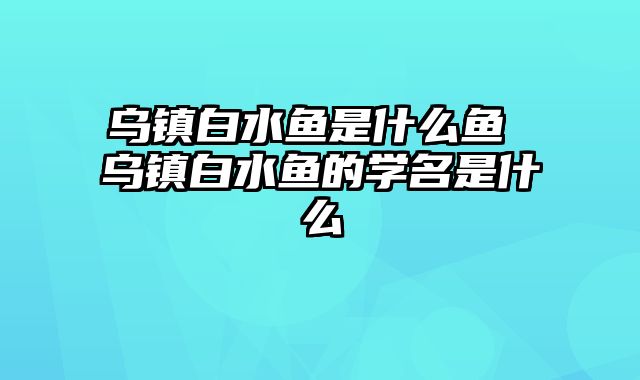 乌镇白水鱼是什么鱼 乌镇白水鱼的学名是什么