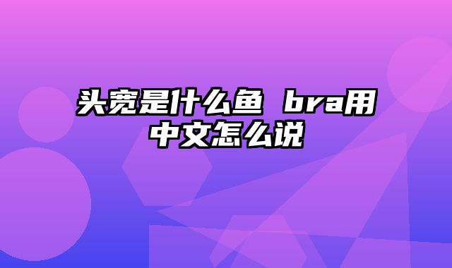 头宽是什么鱼 bra用中文怎么说
