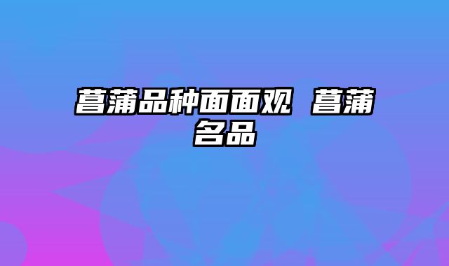 菖蒲品种面面观 菖蒲名品