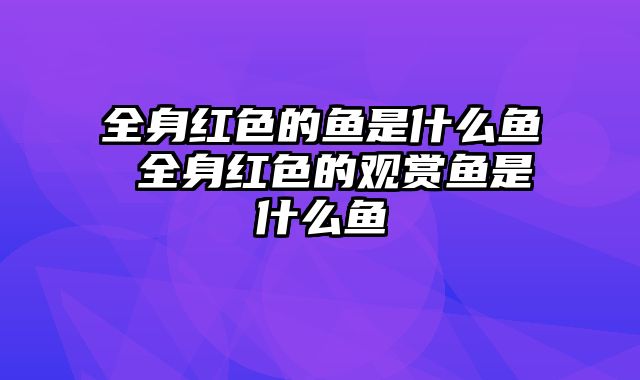 全身红色的鱼是什么鱼 全身红色的观赏鱼是什么鱼