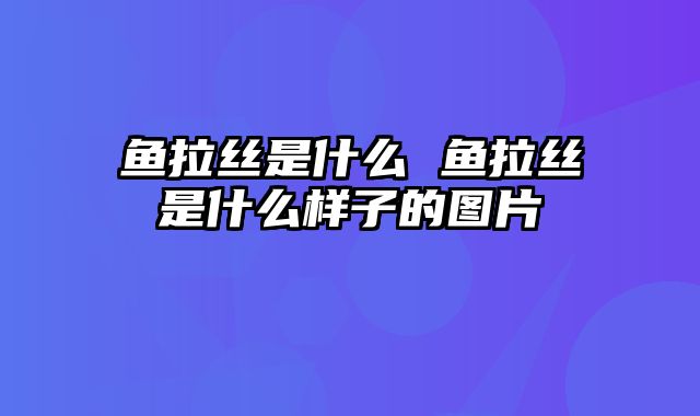 鱼拉丝是什么 鱼拉丝是什么样子的图片