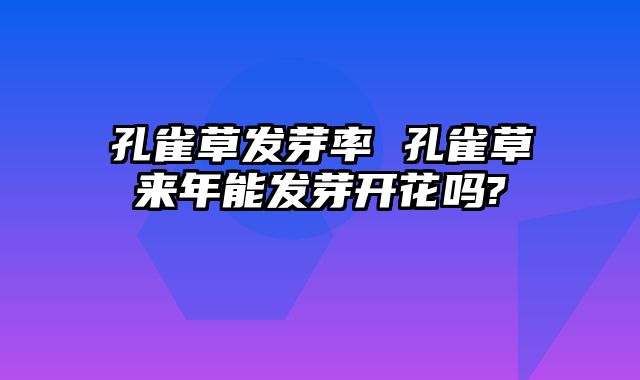 孔雀草发芽率 孔雀草来年能发芽开花吗?