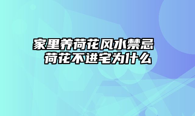 家里养荷花风水禁忌 荷花不进宅为什么