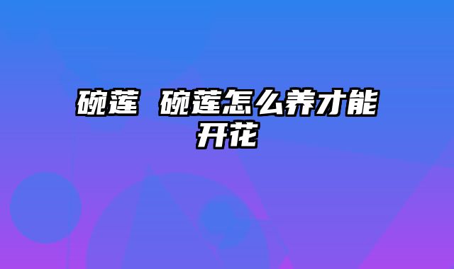 碗莲 碗莲怎么养才能开花