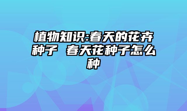 植物知识:春天的花卉种子 春天花种子怎么种