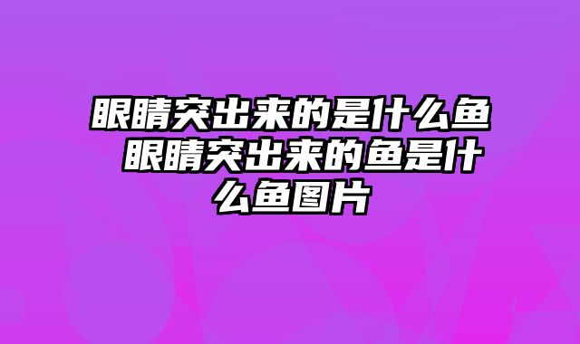 眼睛突出来的是什么鱼 眼睛突出来的鱼是什么鱼图片