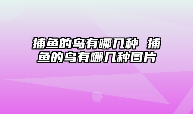 捕鱼的鸟有哪几种 捕鱼的鸟有哪几种图片