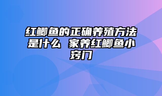 红鲫鱼的正确养殖方法是什么 家养红鲫鱼小窍门