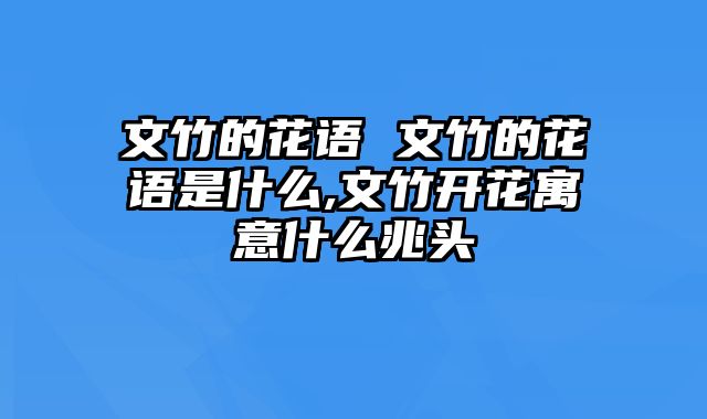 文竹的花语 文竹的花语是什么,文竹开花寓意什么兆头