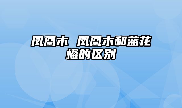 凤凰木 凤凰木和蓝花楹的区别