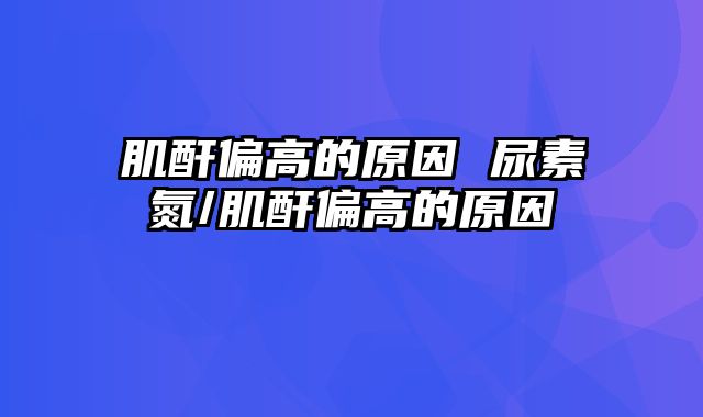 肌酐偏高的原因 尿素氮/肌酐偏高的原因